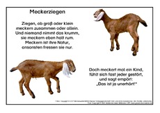 Meckerziege.pdf